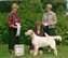 Lleyton BOS Sweeps ESCNE Independent Specialty