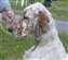 Lleyton  at 5 months old