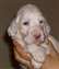 Andy at 4 weeks
