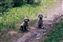 having a romp in the woods with sister Tara