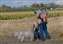 She and Lace love Steve the trainer at Blue Ridge Kennels in Dixon CA