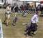 Slide in Stud Dog competition, with Chandler showing him.  Behind him are Dash with Nadeen and Zack with Ildi.