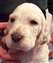 boy1week51.JPG