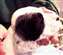 boy4week51.JPG