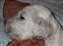 boy1week42.JPG