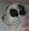 boy5week42.JPG