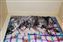DSC_0505small.jpg