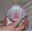 Arrow day 9, eyes on all are starting to open