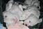 arrow backsleeping with his buddies