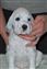 Candy 34 days