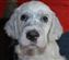 Arrow 6 weeks