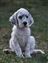 Candy looking darling