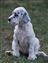 Candy looking darling