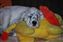 Candy having a snooze