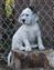 Cupid, the king of his domain :-)