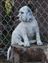 Cupid, the king of his domain :-)