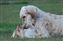 Renee playing with Pippa