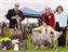 Best of Breed, Puget Sound English Setter Club