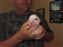 Bruiser at 3 days
