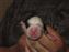 Junior at 3 days