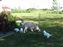 playing outside, woohooo!