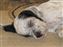 JR taking a power nap