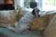 DSC_0417s.jpg
