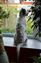 DSC_0450s.jpg
