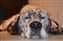 DSC_0475s.jpg