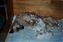 she always was a backsleeper, like most of her kids are